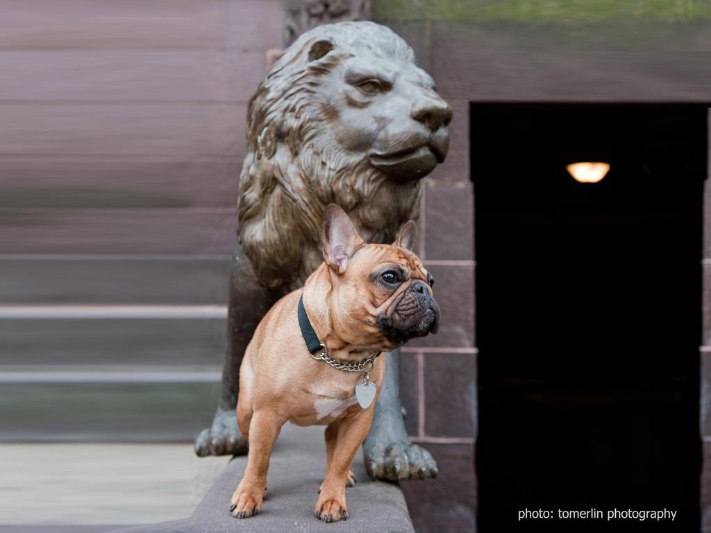 The Mansion On O Street Hotel วอชิงตัน ภายนอก รูปภาพ